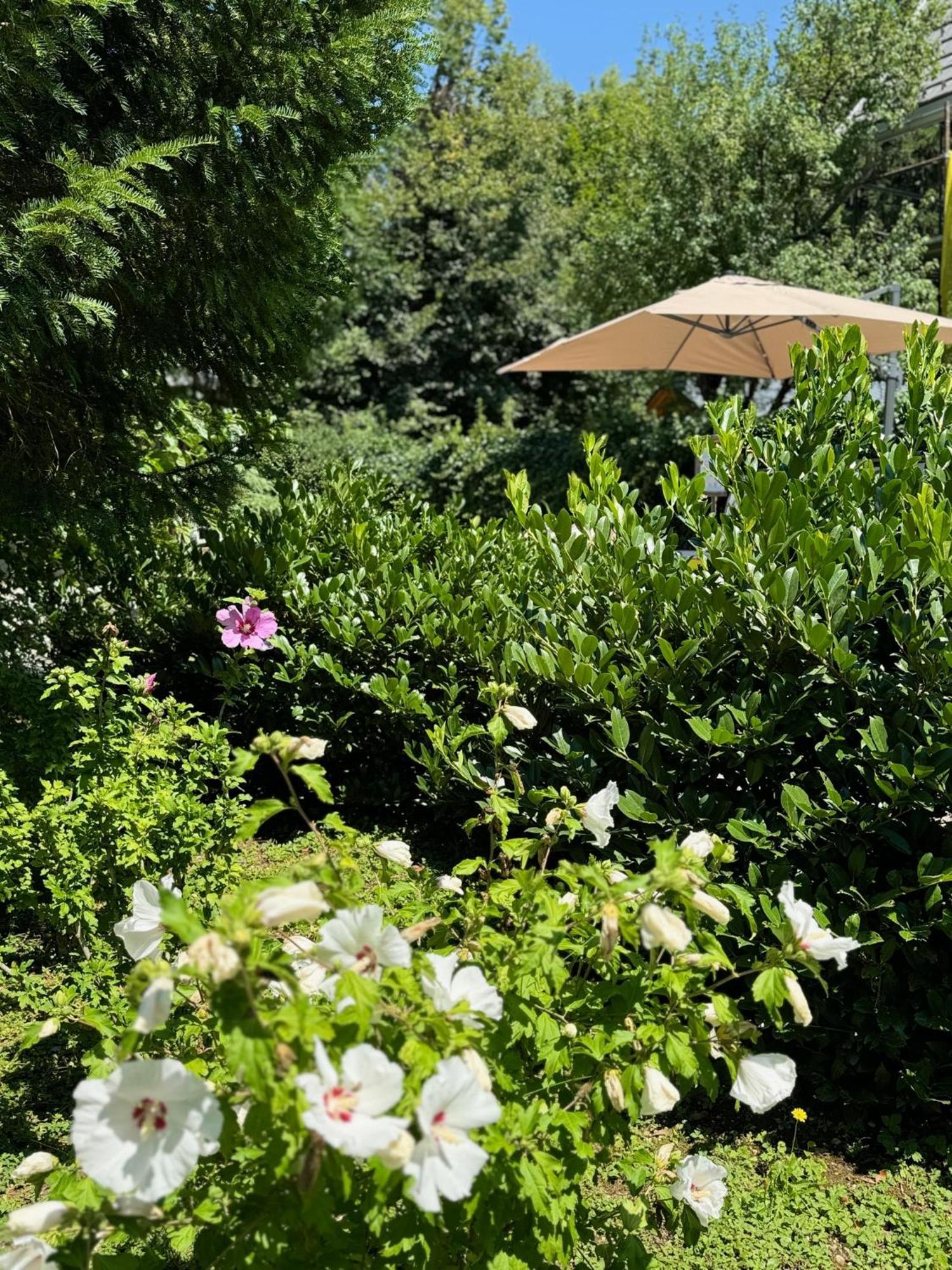 Vila Alice Bled - Adults Only מראה חיצוני תמונה