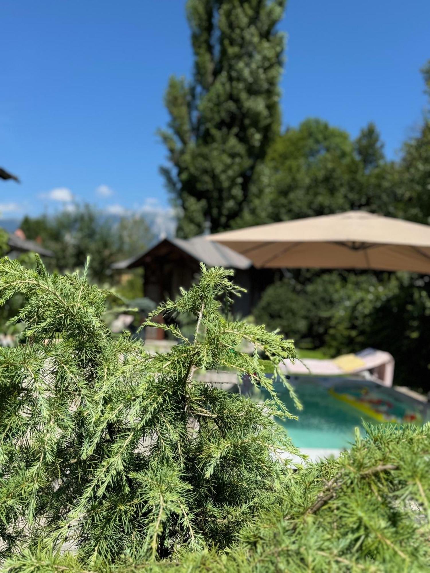 Vila Alice Bled - Adults Only מראה חיצוני תמונה